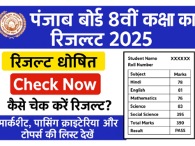 Punjab Board Class 8th Result 2025